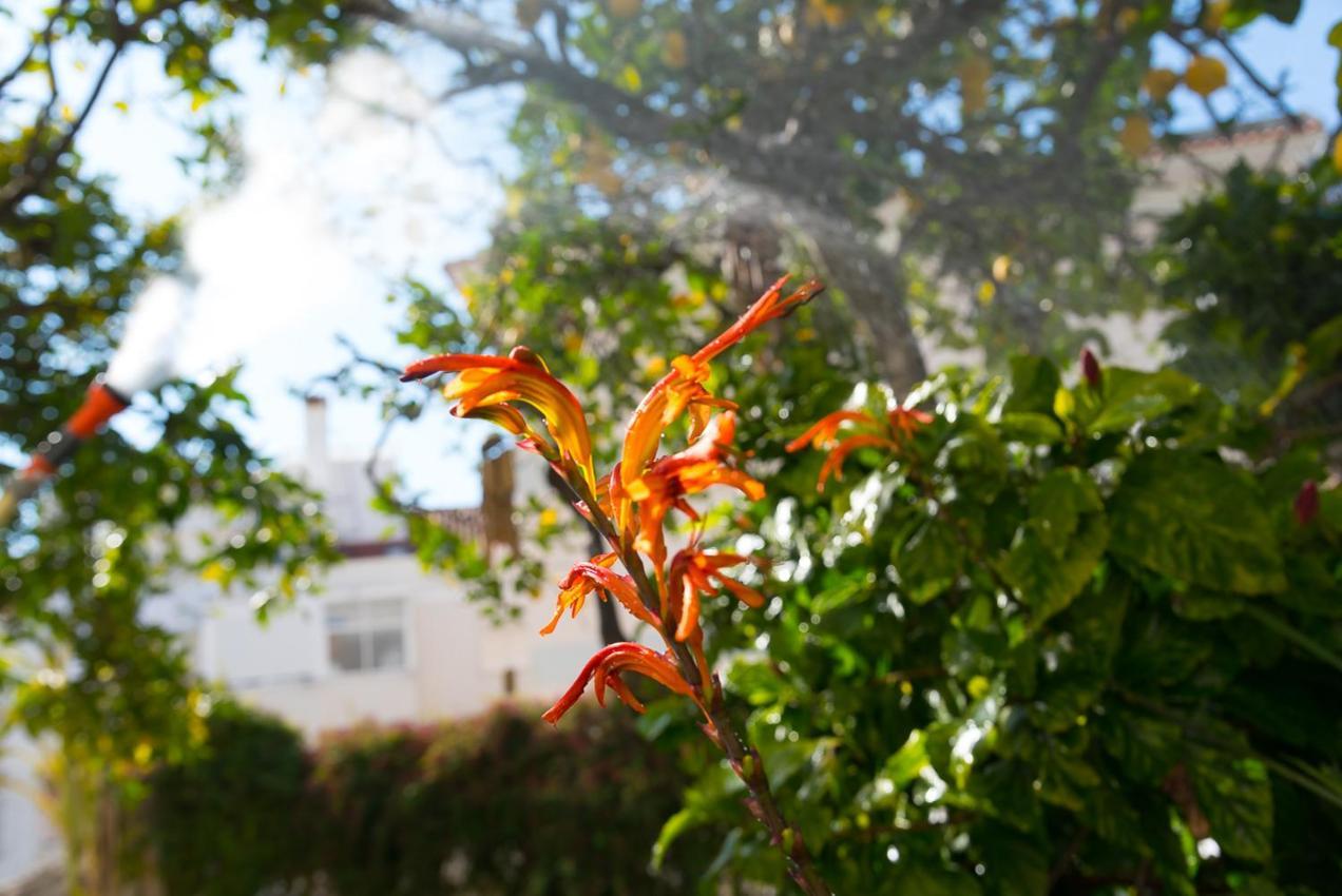 Flat With A Garden In Belem Appartement Lissabon Buitenkant foto
