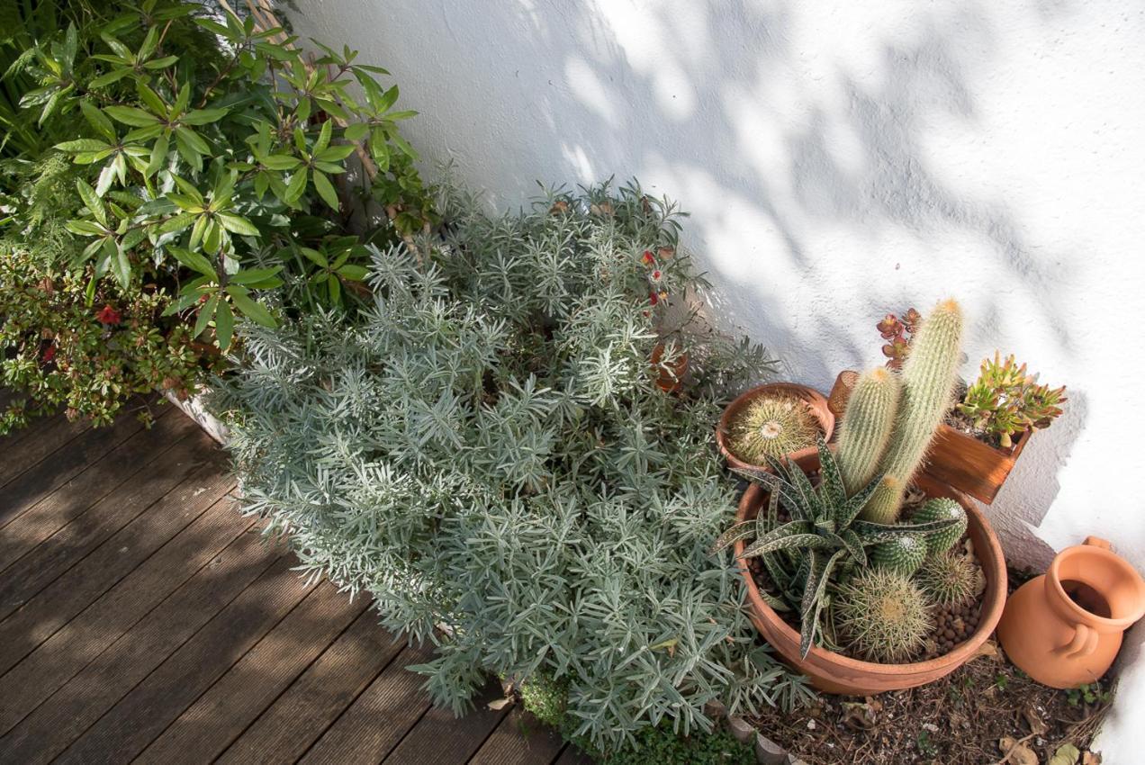 Flat With A Garden In Belem Appartement Lissabon Buitenkant foto