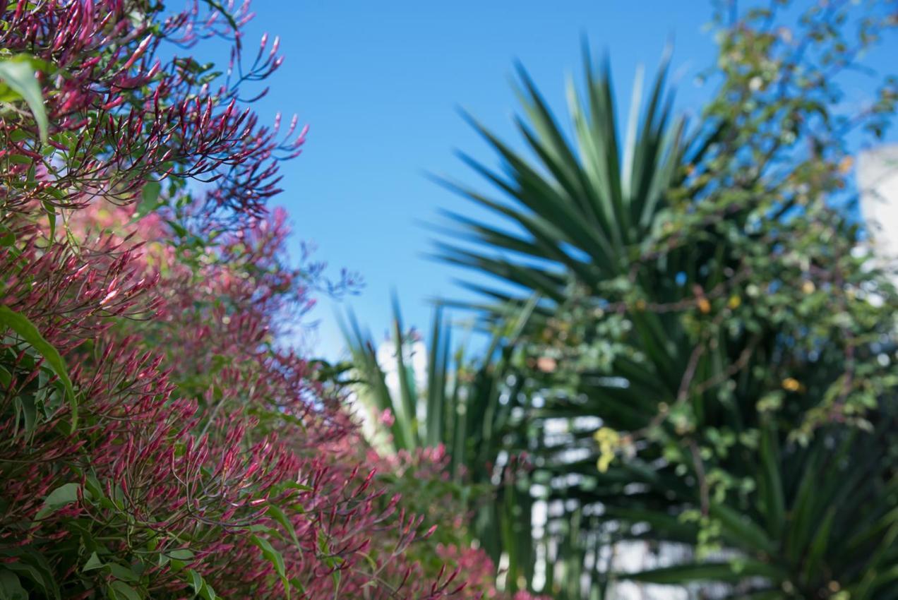 Flat With A Garden In Belem Appartement Lissabon Buitenkant foto